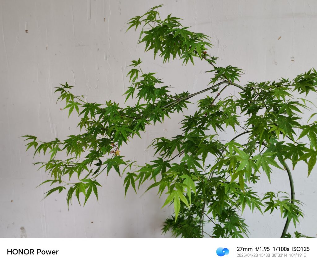 荣耀Power:8000mAh大电池,一天用不完是种什么体验?-VDGER
